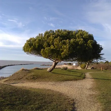 Le Petit Nid De Lucat 2 Holiday home Royan